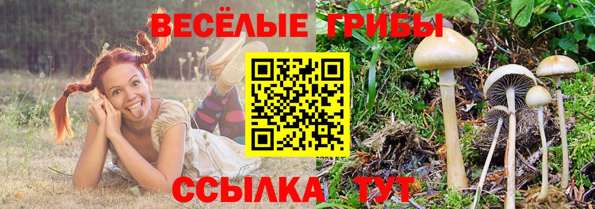 Codein Сатка